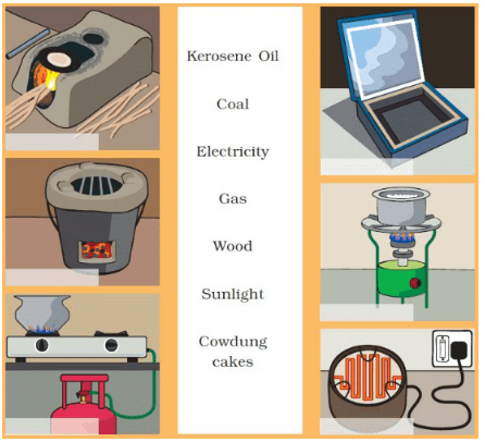 What is Cooking NCERT Solutions | EVS for Class 3