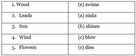 Why Class 4 Worksheet English