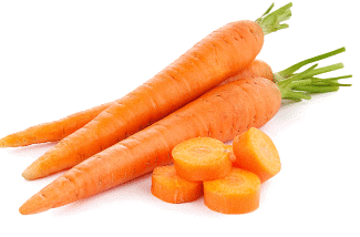 Food from Plants - 2 Class 1 Worksheet Science