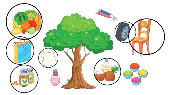 पेड़ो की अम्मा थिमक्का NCERT Solutions | Hindi for Class 3 (वीणा)