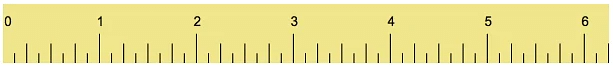 Worksheet: Lina’s Family (Measurement) - 3 | Worksheets with solutions for Class 1
