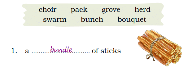 NCERT Solutions for Class 4 English Chapter 1 - Together We Can