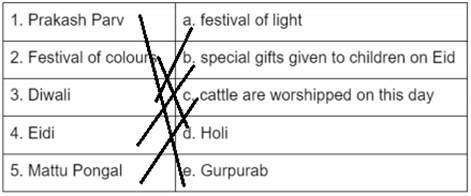 Class 2 Social Science Festivals - CBSE Worksheets- 1 Solutions