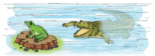Animals in the Wild Class 2 Notes Science