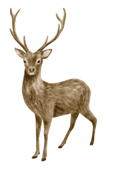 CBSE Worksheet Class 4 English Chapter 5 - The Old Stag Free Download