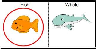 Measurement - 2 Class 1 Worksheet Maths