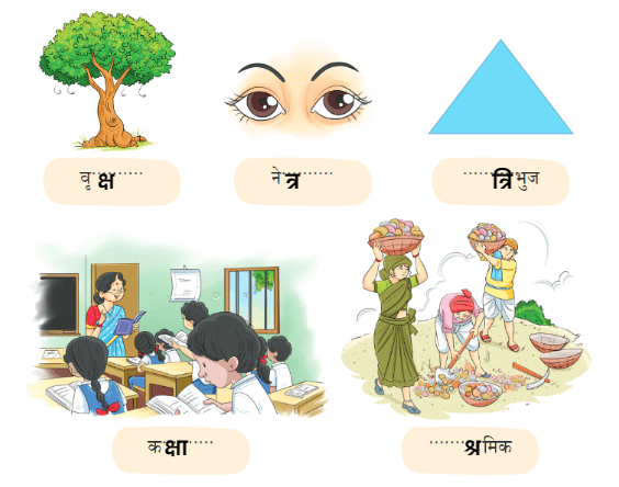 पेड़ो की अम्मा थिमक्का NCERT Solutions | Hindi for Class 3 (वीणा)