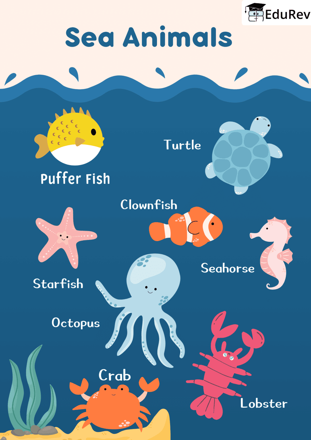Printable Poster: Sea Animals | Science for Grade 1