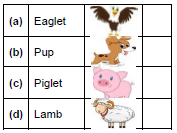 Worksheet: One Little Kitten/Lalu and Peelu - 1