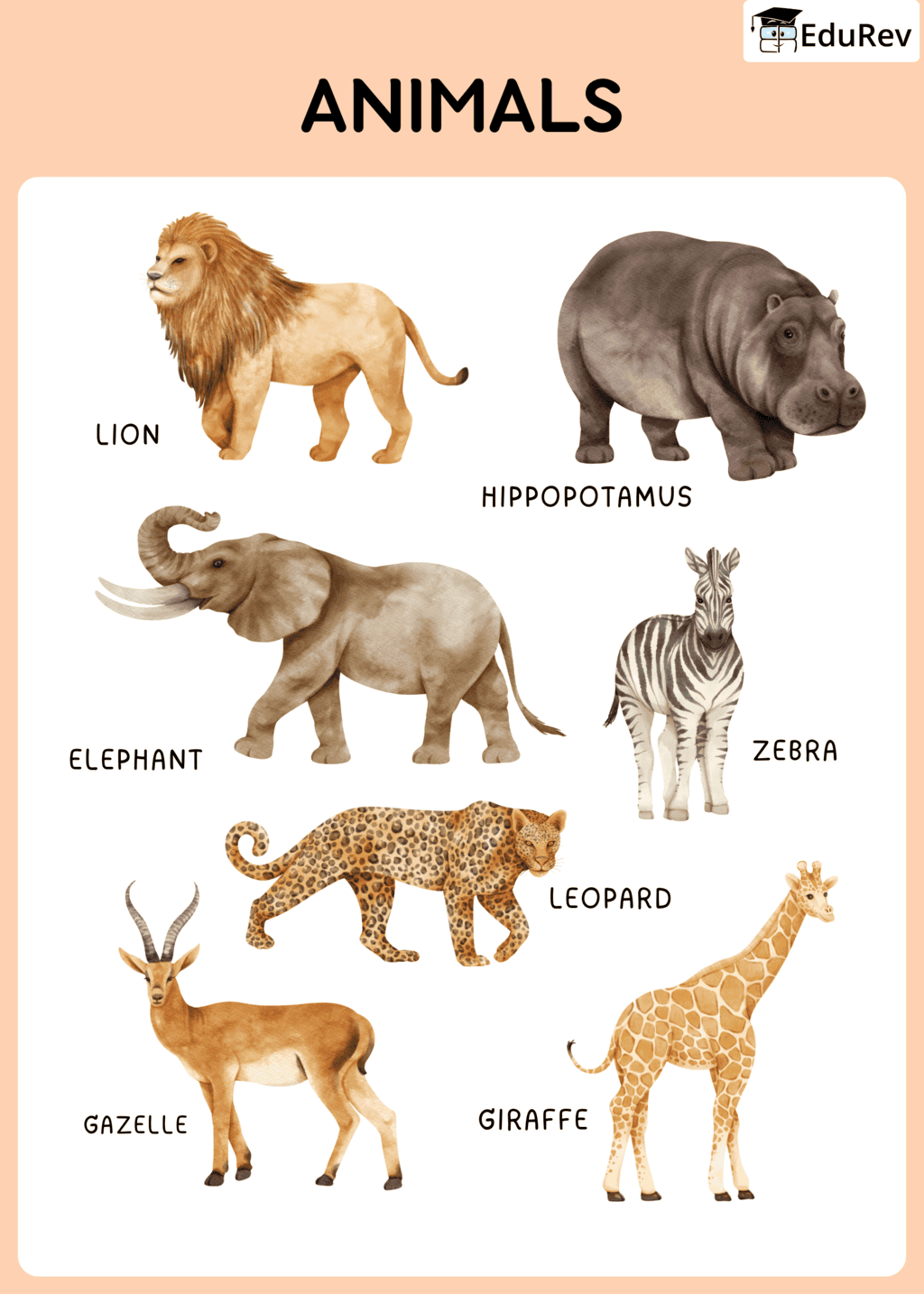 Printable Poster: Wild Animals | Science for Grade 1