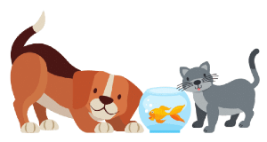 Chhotu`s House Chapter Notes | EVS for Class 3