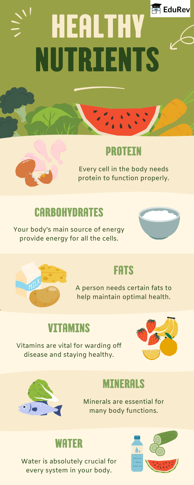 Poster: Eat Healthy Food | Mathematics for Class 2 (Joyful-Mathematics)
