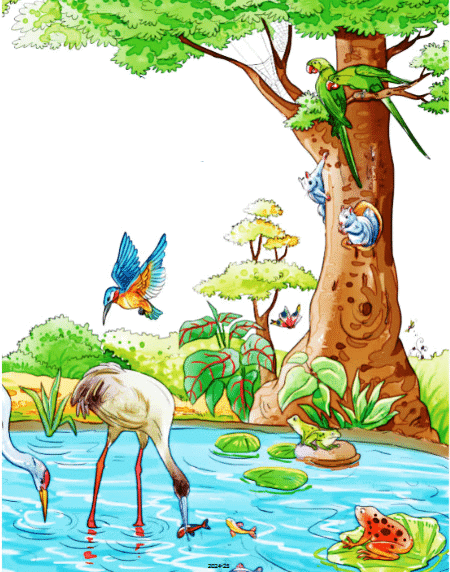 Worksheet: तालाब | Worksheets with solutions for Class 2