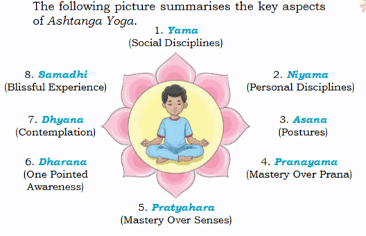 Yoga for Daily Life Class 4 Notes Physical Education Chapter 6 Free PDF