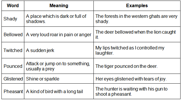 Little Tiger, Big Tiger Summary Class 3 English Unit 7
