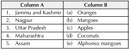 Our Food - 1 Class 3 Worksheet SST