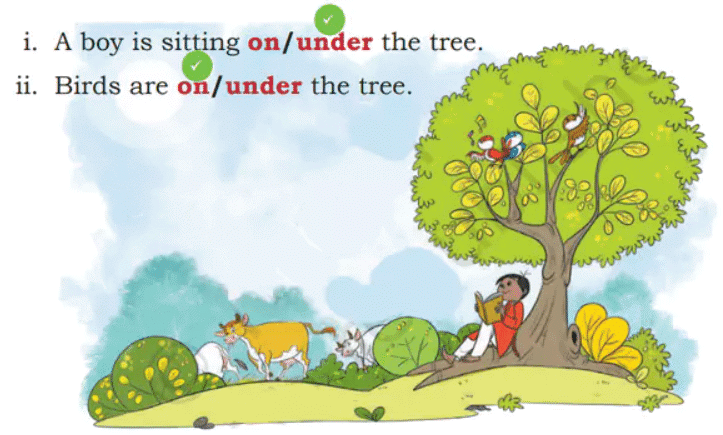 Finding the Furry Cat! NCERT Solutions | Mathematics for Class 1: NCERT (Joyful-Mathematics)