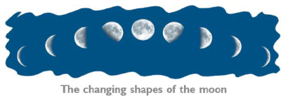 Sky Above Us Class 1 Notes Science