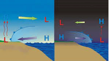 Weather, Water and Air - 1 Class 4 Worksheet Science