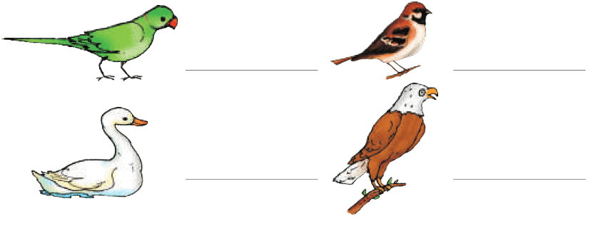 NCERT Solutions for Class 4 EVS Chapter 3 - Nature Trail