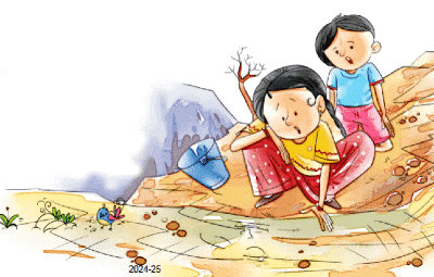 Worksheet: बरसात और मेंढक | Worksheets with solutions for Class 2