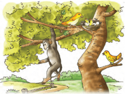 Animals in the Wild Class 2 Notes Science