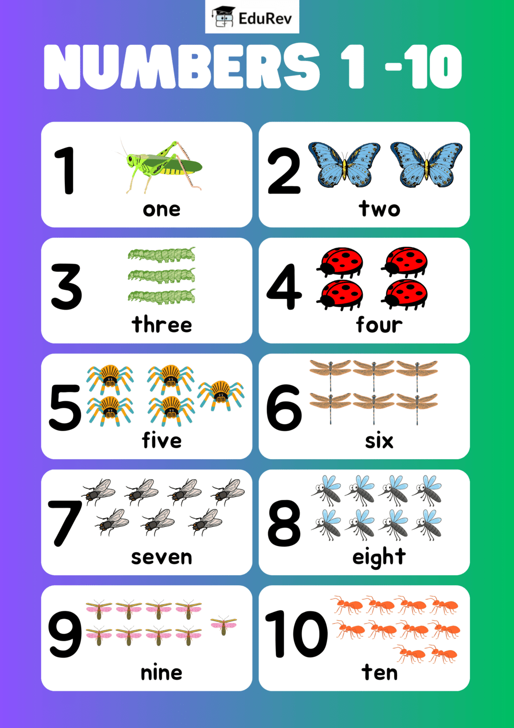 Infographics: What`s in a Name | Mathematics for Class 3 (Maths Mela)