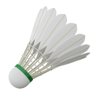 Strike and Shuttlecock Class 4 Notes Physical Education Chapter 3 Free PDF
