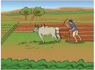 Farmer