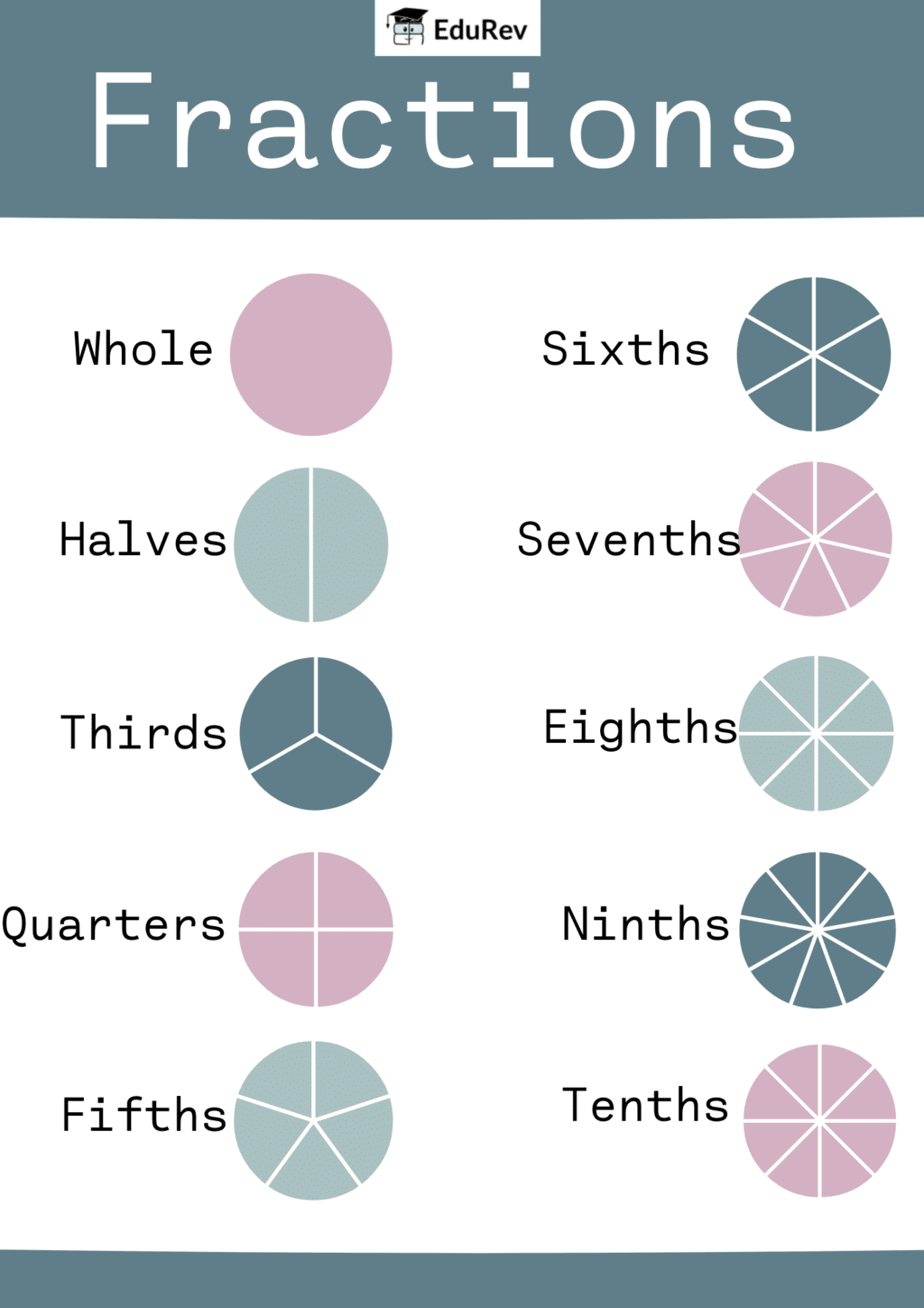 Infographics: Fair Share | Mathematics for Class 3 (Maths Mela)