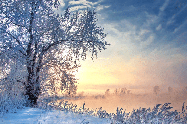 Which Season is it? Chapter Notes | Mathematics for Class 2 (Joyful-Mathematics)