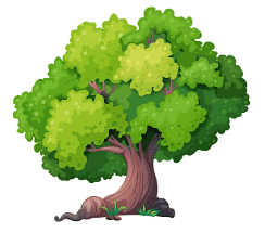 Practice Questions: Nouns | English Olympiad Class 1