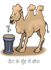 दोस्त की पोशाक NCERT Solutions | Hindi for Class 4
