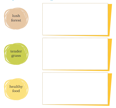 NCERT Solutions for Class 4 English Chapter 5 - The Old Stag