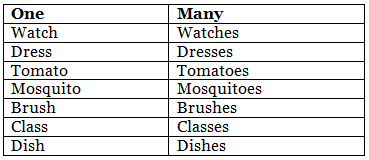 Singular & Plural | English Grammar for Junior Classes - Class 1