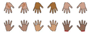 NCERT Solutions for Class 3 Maths - Can we Share