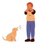 Practice Questions: Verbs