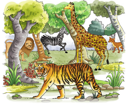 Animals in the Wild Class 2 Notes Science