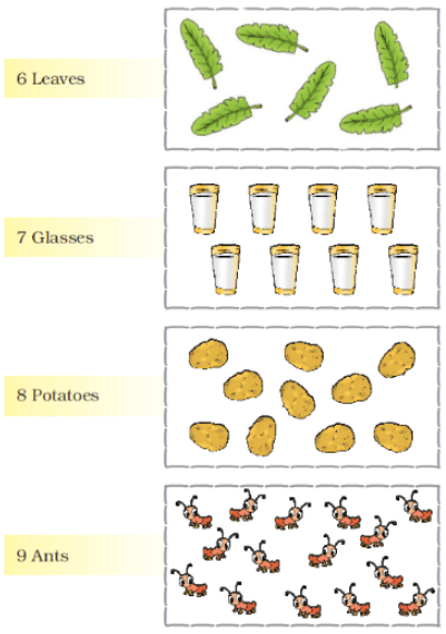 NCERT Solutions for Class 1 Maths Chapter 2 - Numbers from One to Nine
