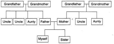 NCERT Solutions for Class 4 EVS Chapter 9 - Changing Families