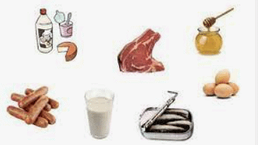 Worksheet Solutions: The Story of Food | EVS for Class 3
