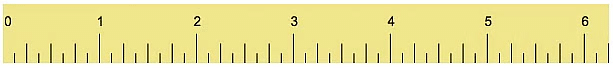 Worksheet Solutions: Lina’s Family (Measurement) - 3 | Worksheets with solutions for Class 1