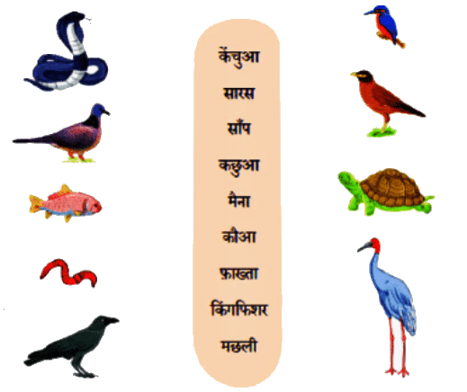 Worksheet Solutions: तालाब | Worksheets with solutions for Class 2