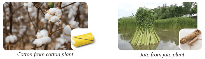 Clothes â€“ Our Protection Class 4 Notes Science
