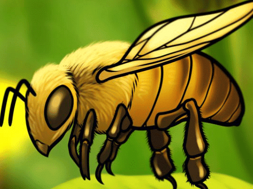 Anita and The Honeybees - 2 Class 4 Worksheet EVS Chapter 5