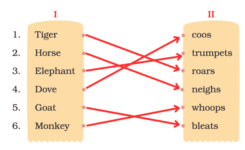 NCERT Solutions for Class 4 English Chapter 9 - Hekko