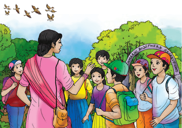 NCERT Solutions for Class 4 EVS Chapter 3 - Nature Trail