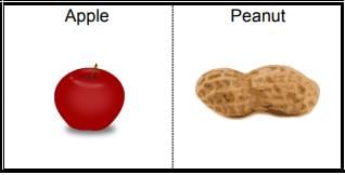 Measurement - 2 Class 1 Worksheet Maths