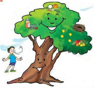 NCERT Solutions for Class 3 English Unit 3 - Little by Little