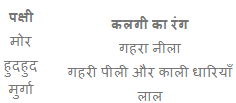 बुलबुल NCERT Solutions | NCERT Textbooks & Solutions (Class 1 to Class 5) - DSSSB TGT/PGT/PRT
